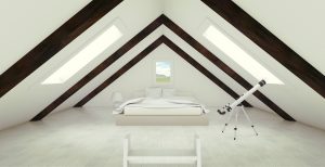 Micro woning Hype